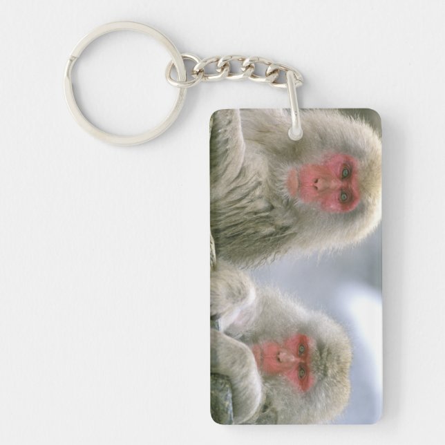 Llavero Pareja de monos de nieve, macaco japonés, (Frente)