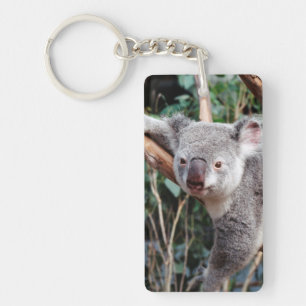 Llavero Parque de Vida Silvestre Featherdale, Osos Koala