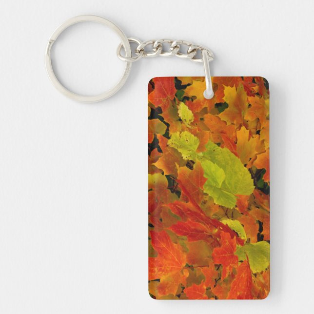 Llavero Parque Estatal Itasca, Colores Caídos (Frente)