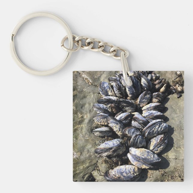 Llavero Parque Estatal Sisters Rock, Costa de Oregón (Frente)