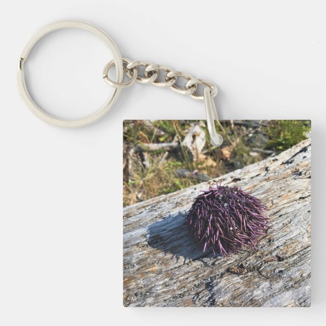 Llavero Parque Estatal Sisters Rock, Costa de Oregón (Frente)