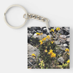 Llavero Parque Estatal Sisters Rock, Costa de Oregón