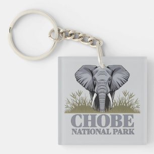 Llavero Parque nacional Chobe Botswana