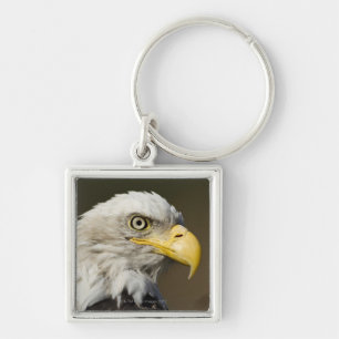 Llavero Parque nacional de Katmai, Alaska