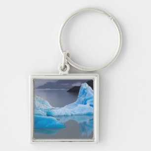 Llavero Parque Nacional Torres del Paine, Hielo glacial