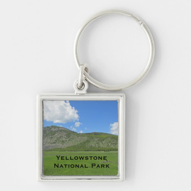 Llavero Parque nacional Yellowstone Lush Green Field (Frente)