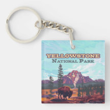 Parque nacional Yellowstone Wyoming Bison Geyser