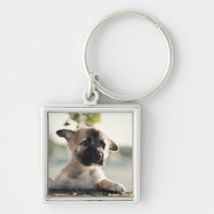 Llavero Pastor alemán con borde