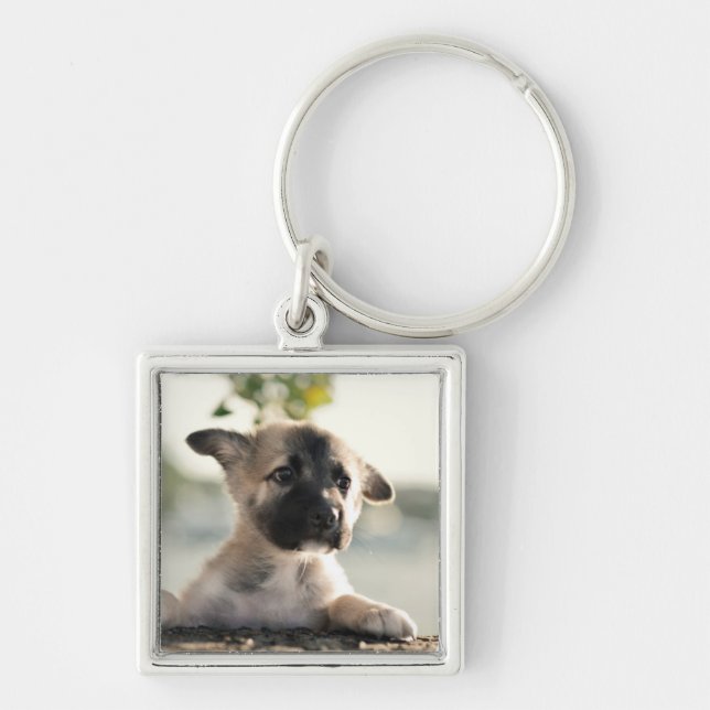 Llavero Pastor alemán sobre borde (Frente)