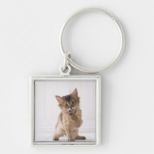 Llavero Pata delantera de lamedura somalí