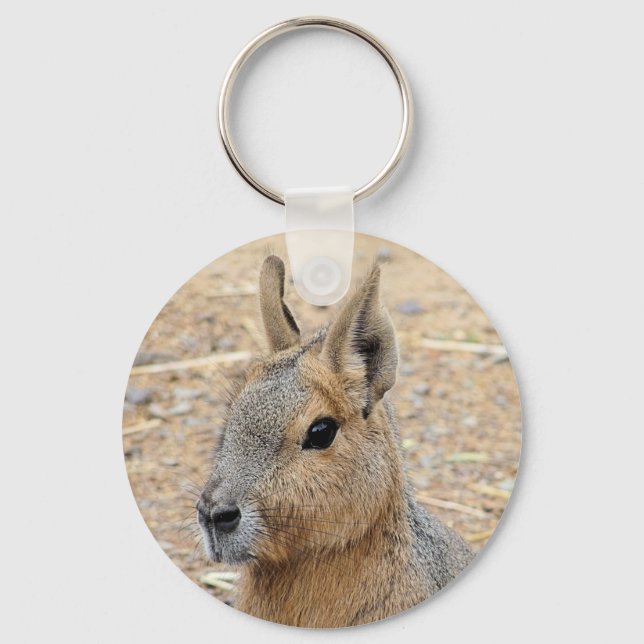 LLAVERO PATAGONIAN MARA (Anverso)
