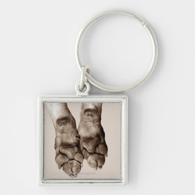 Llavero Patas de los perros (Frente)