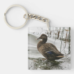 Llavero Pato gris en el lago oscuro