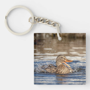 Llavero Pato Mallard en Downing Park