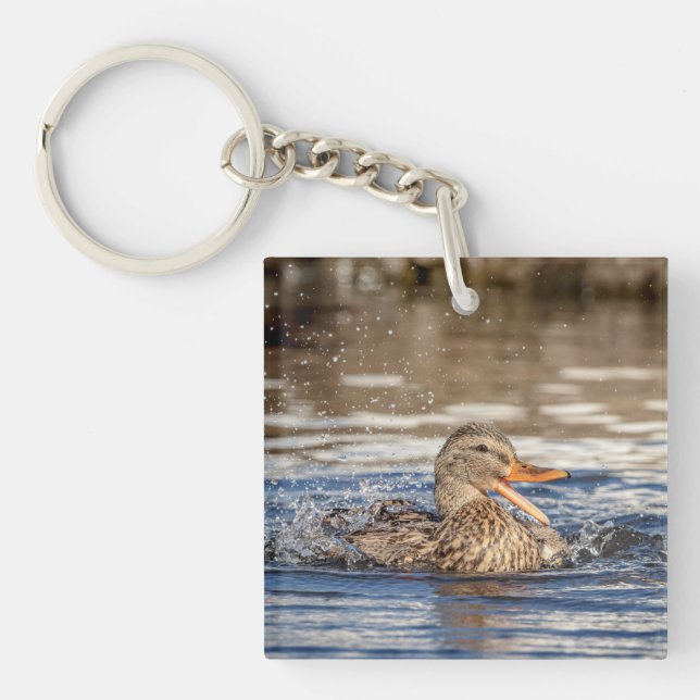 Llavero Pato Mallard en Downing Park (Frente)