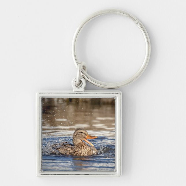 Llavero Pato Mallard en Downing Park (Frente)