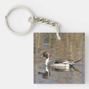 Llavero Pato Rabudo Nada En Un Estanque