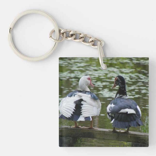 Llavero Patos Muscovy Sentados En Una Cadena Clave Ornamit (Frente)