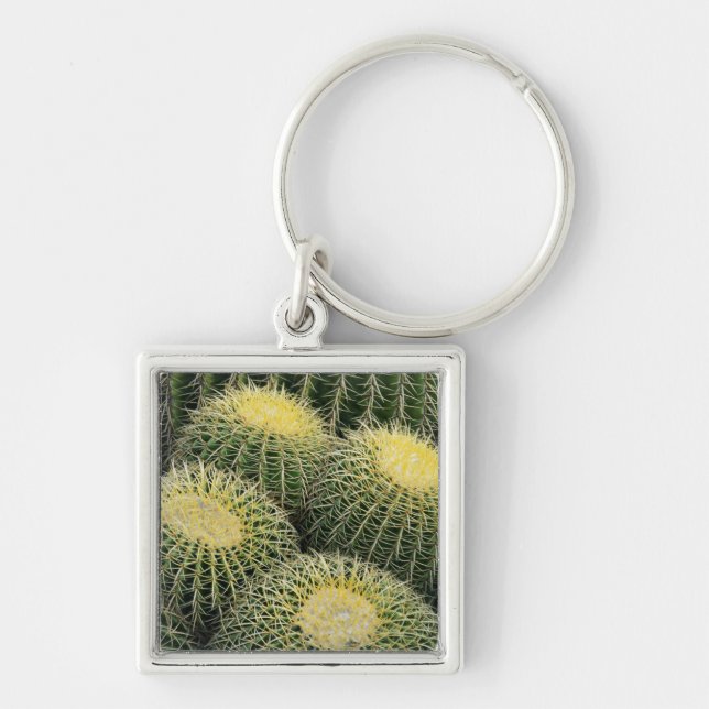 Llavero Patrón de cactus (Frente)