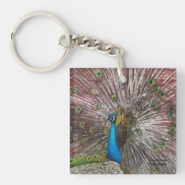 Llavero pavo real (Frente)