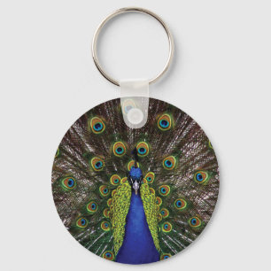 Llavero Pavo real