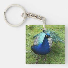 Llavero Pavo Real Poderoso 