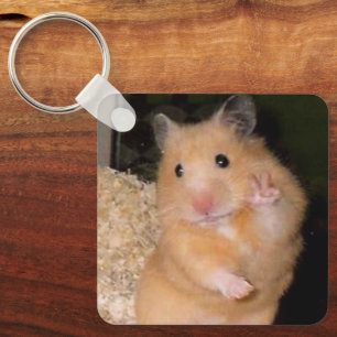 Llavero Paz + Asustamiento De Hamster Meme Doble Lado Keyc