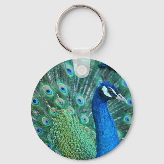 Llavero Peacock