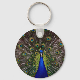 Llavero Peacock