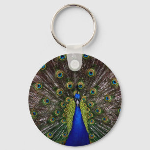 Llavero Peacock