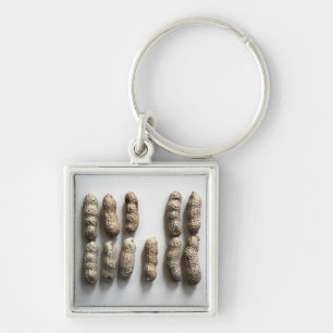 Llavero Peanuts Still Life Bella Artes Photograph