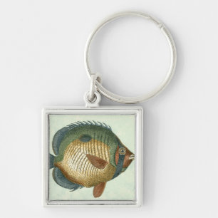 Llavero Peces coloridos