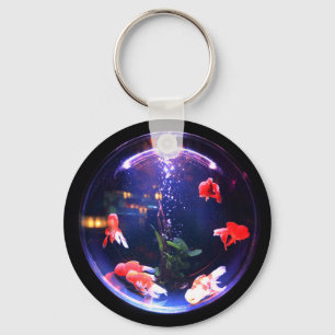 Llavero Peces de oro en un acuario de pecera