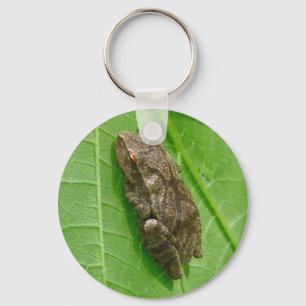 Llavero Peeper de primavera (crucifer de Pseudacris) Eleme