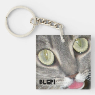 Llavero Pegatinas del salón del gato Blep
