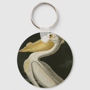 Llavero Pelican blanco estadounidense, los pájaros de Aud