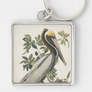 Llavero Pelícano de Brown de Audubon