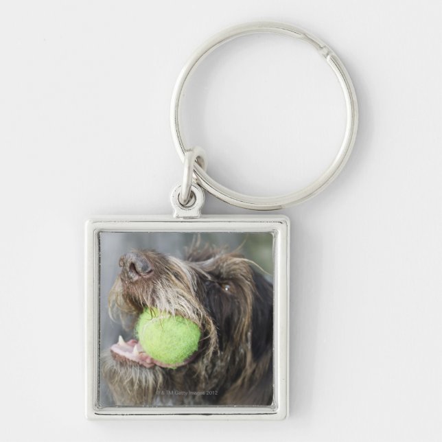 Llavero Pelota de tenis penetrante del perro del (Frente)