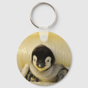 Llavero Penguin baby