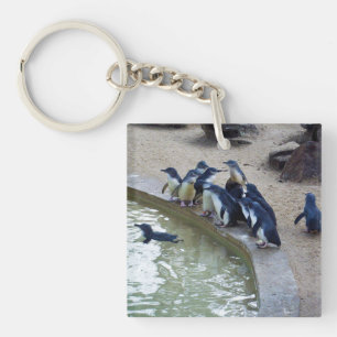 Llavero Penguin Relay: Equipo de natación de pingüinos en 