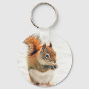 Llavero Pequeña ardilla linda que come nueces