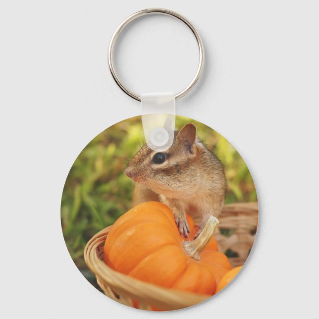 Llavero Pequeño Chipmunk con calabaza (Anverso)