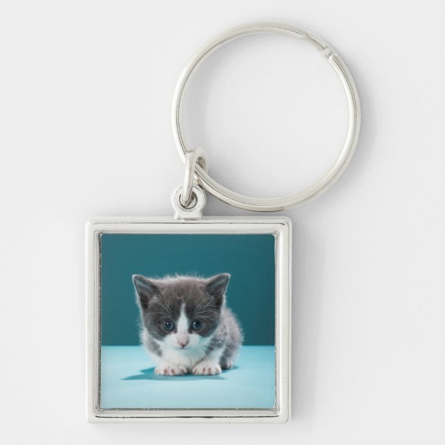 Llavero Pequeño gatito (Frente)