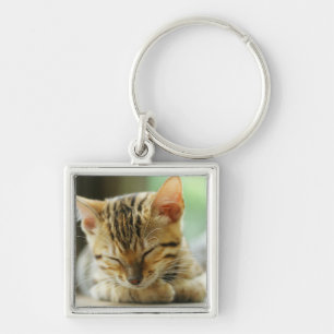 Llavero Pequeño gatito del bebé el dormir