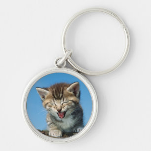 Llavero Pequeño gatito en un árbol
