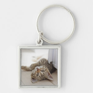 Llavero Pequeño gatito lindo