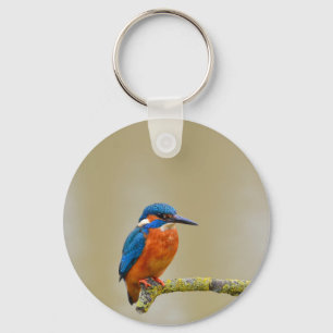 Llavero Perching Kingfisher
