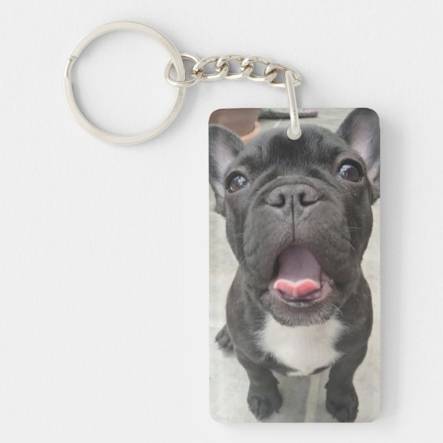 Llavero pérdida del mascota |Perro| Manejo conmemorativo c (Frente)