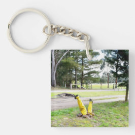 Llavero Perdido en el jardín otra vez