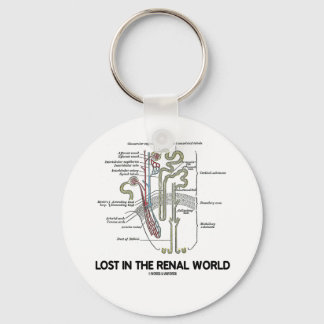 Llavero Perdido En El Mundo Renal (Nefron Renal)